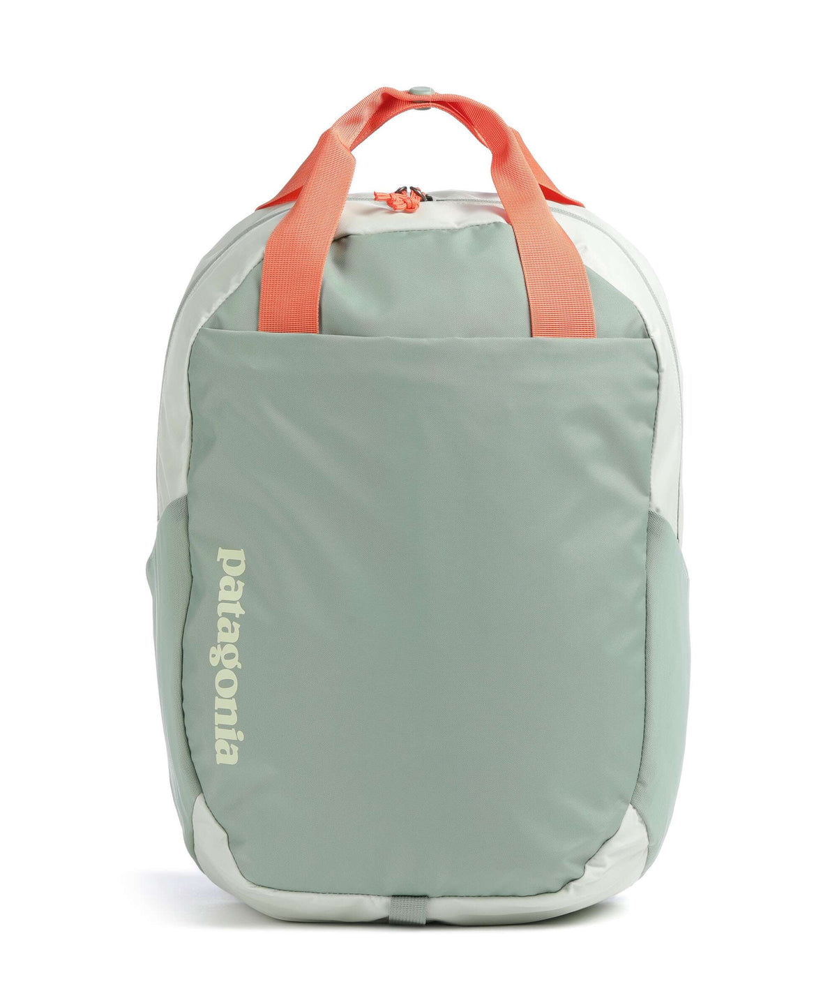 Patagonia Atom 20 Backpack lichen green