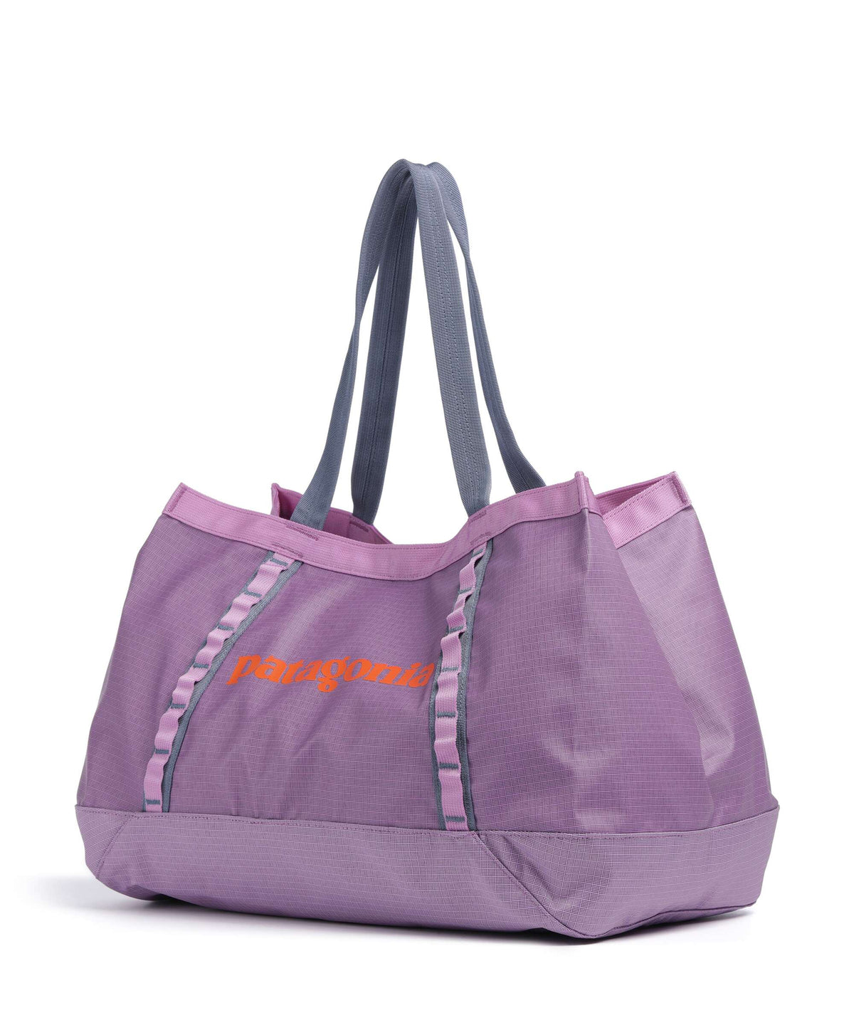 Patagonia Black Hole 25 Tote bag brisk purple