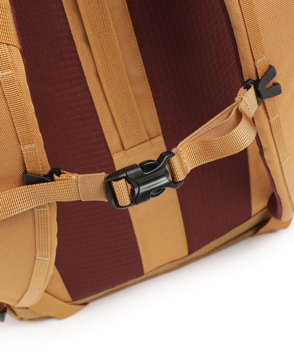 Patagonia Black Hole 32 Backpack talon gold