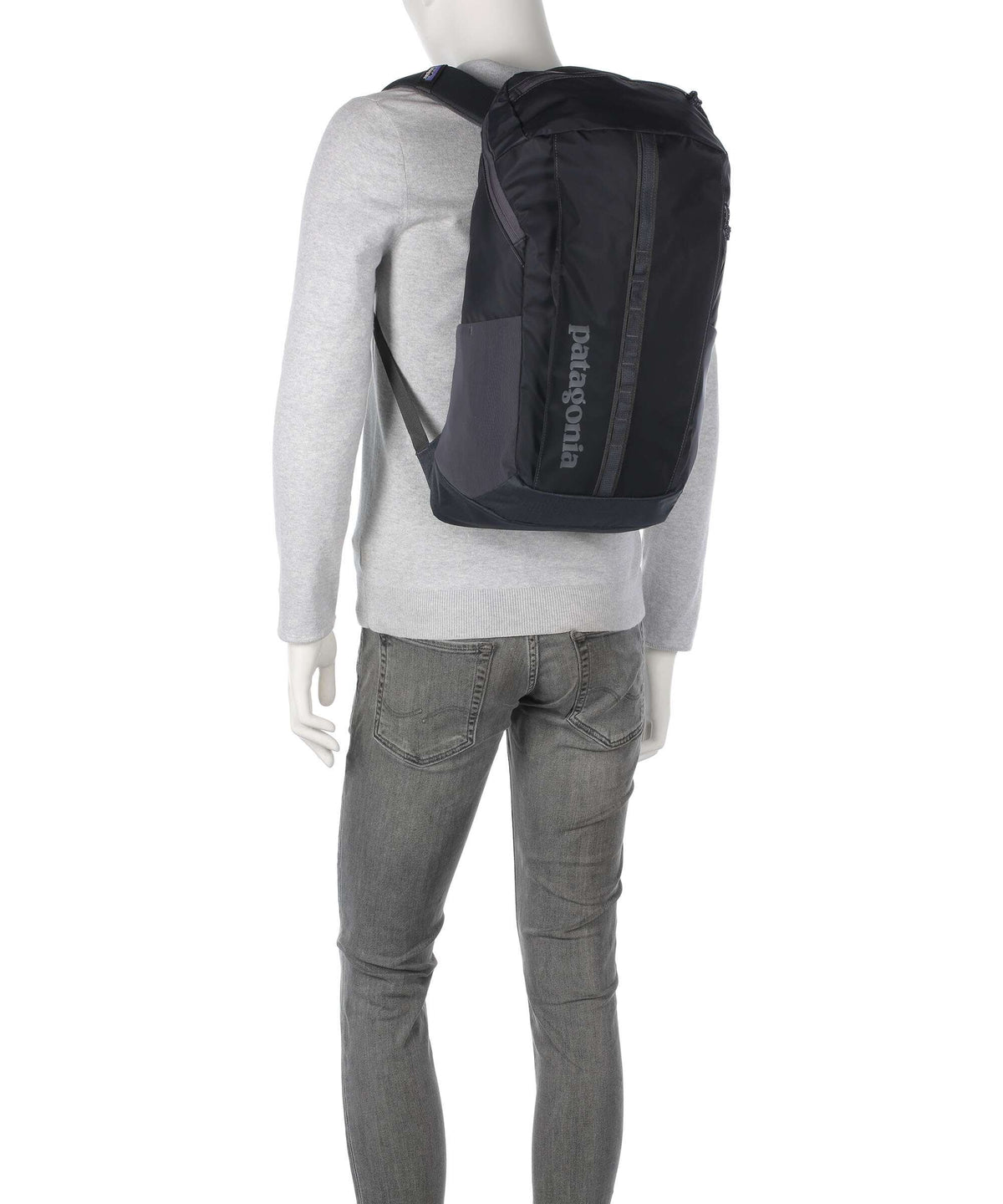 Patagonia Black Hole 25 Backpack black w/black