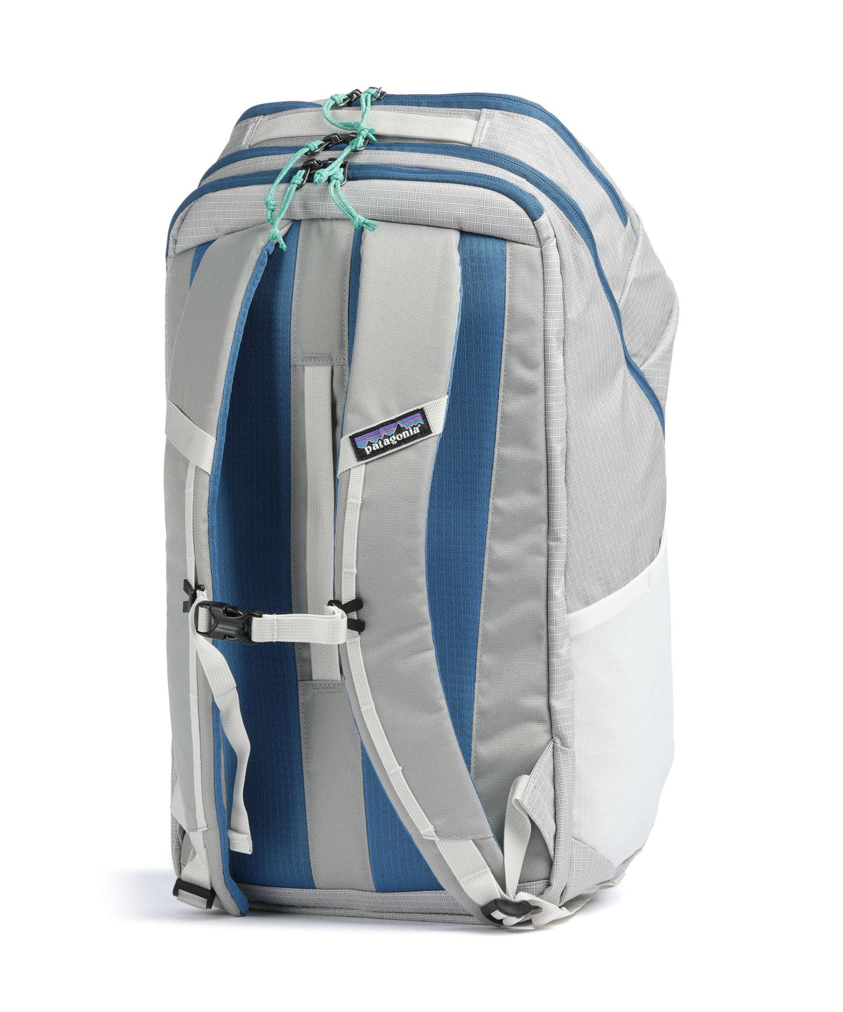Patagonia Black Hole 32 Backpack birch white