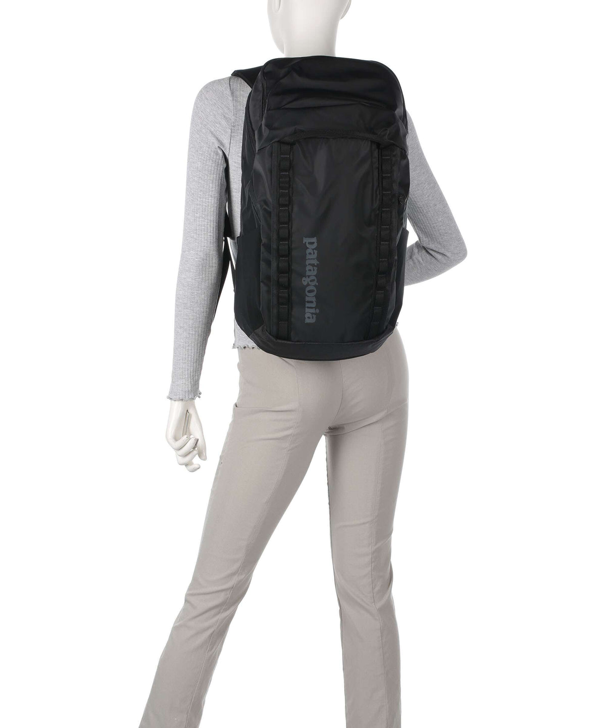 Patagonia Black Hole 32 Backpack birch white