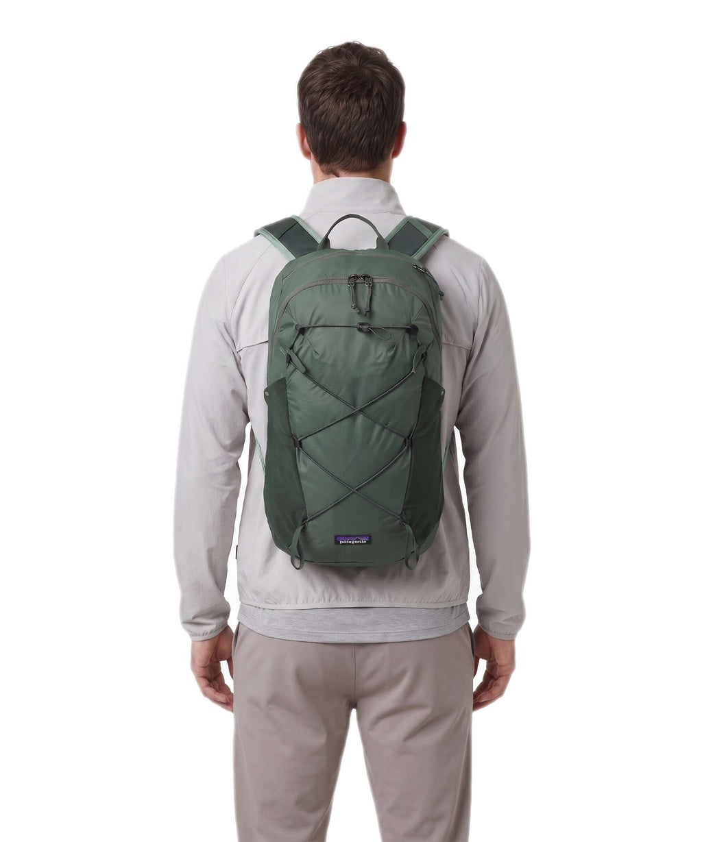 Patagonia Terravia 14 M Backpack canopy green