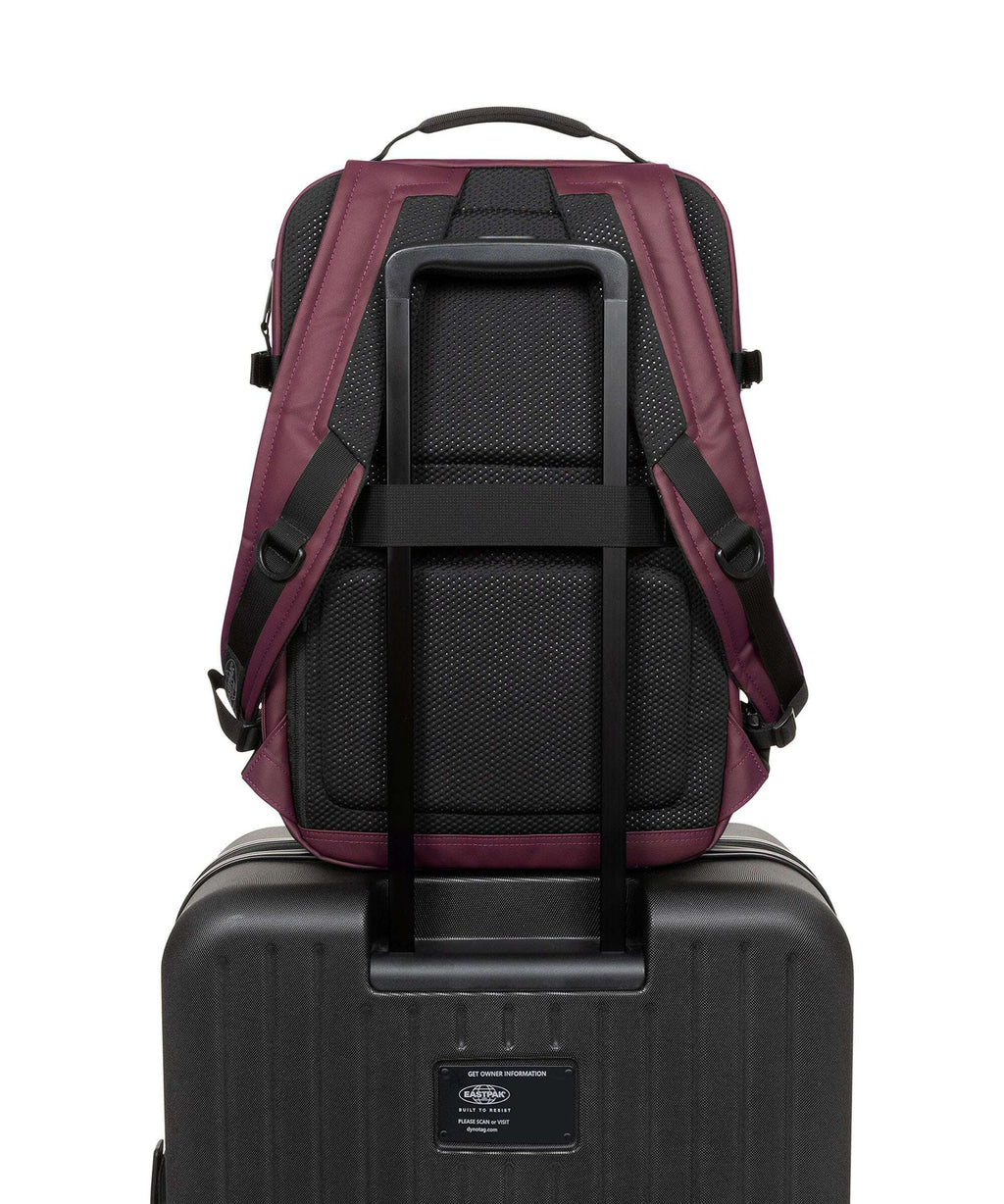 Eastpak Tecum M Backpack cnnct fig