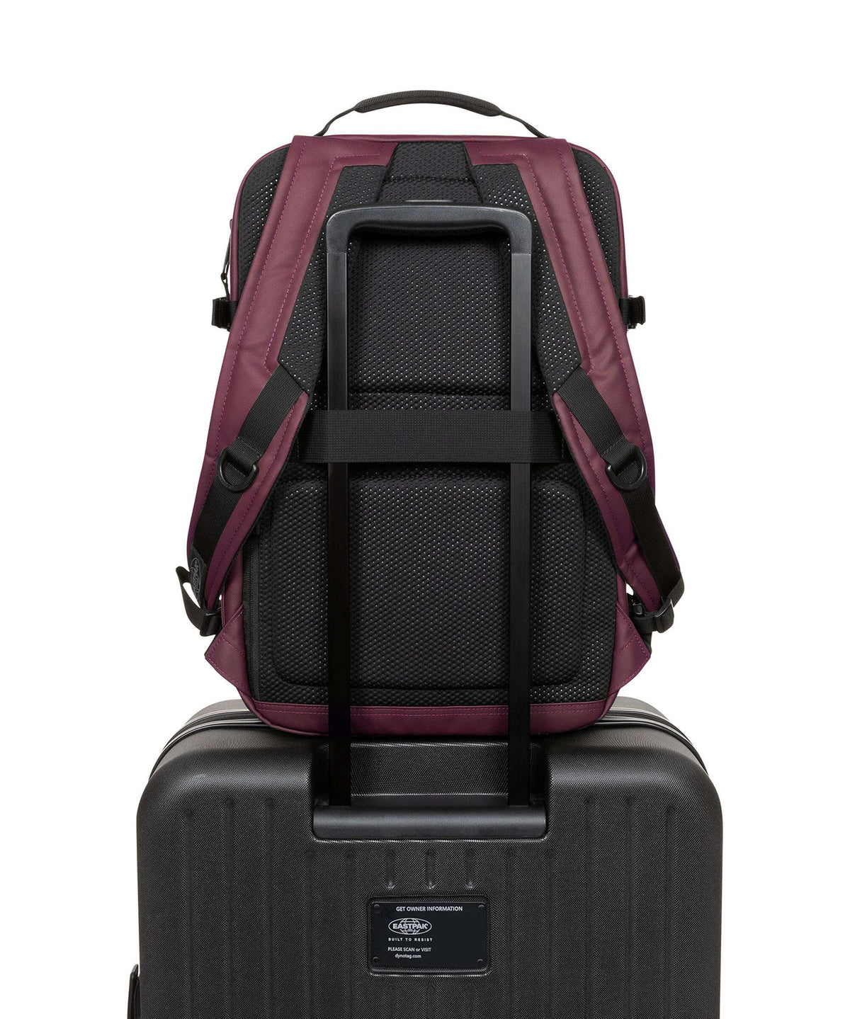 Eastpak Tecum M Backpack cnnct fig