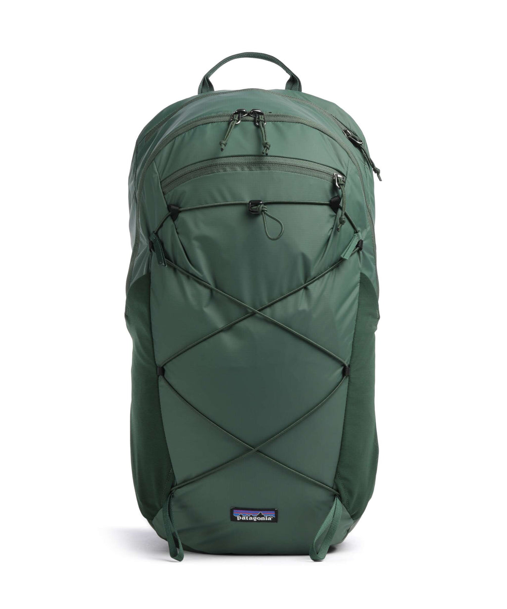 Patagonia Terravia 22 L Backpack canopy green