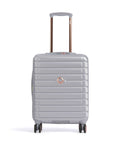 Delsey Paris Shadow 5.0 Spinner (4 wheels) platinum