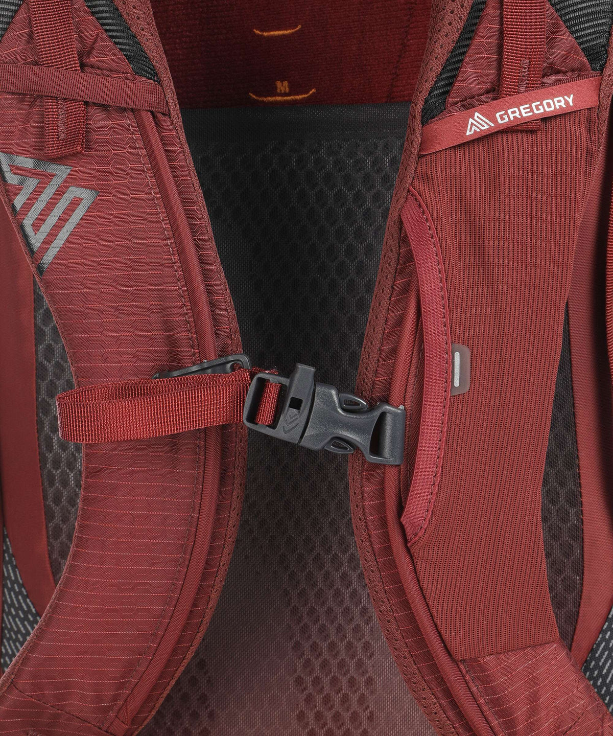 Gregory Paragon 50 MD/LG RC Hiking backpack desert red