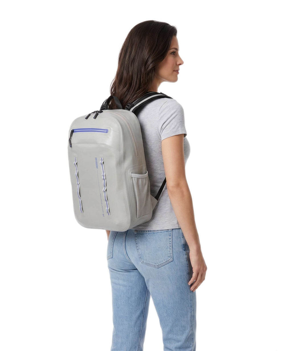 American Tourister Colourdry Backpack glacial silver