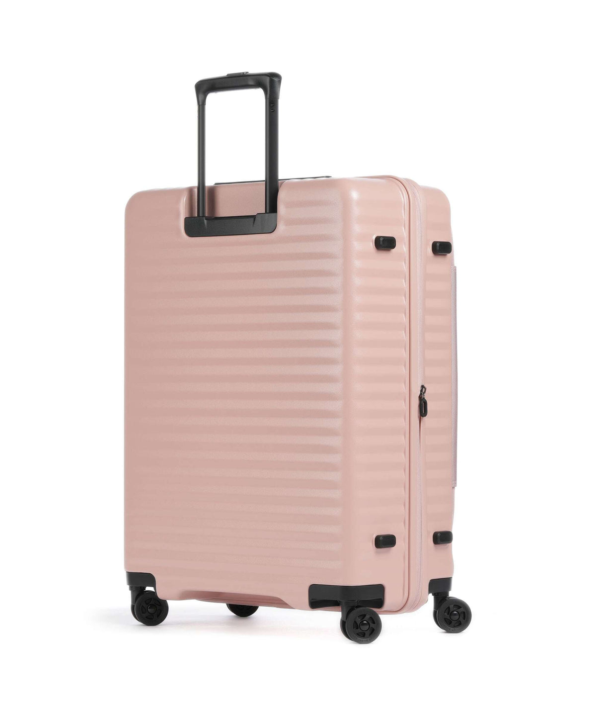 Echolac Celestra FA M Spinner (4 wheels) pink