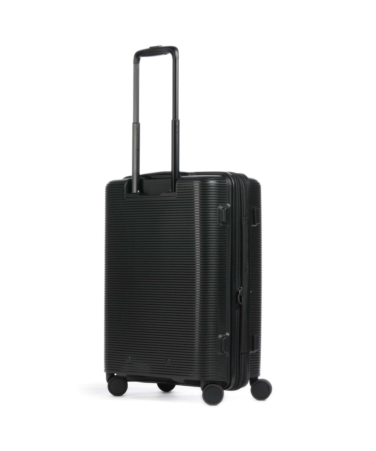 Echolac Forza S Spinner (4 wheels) black