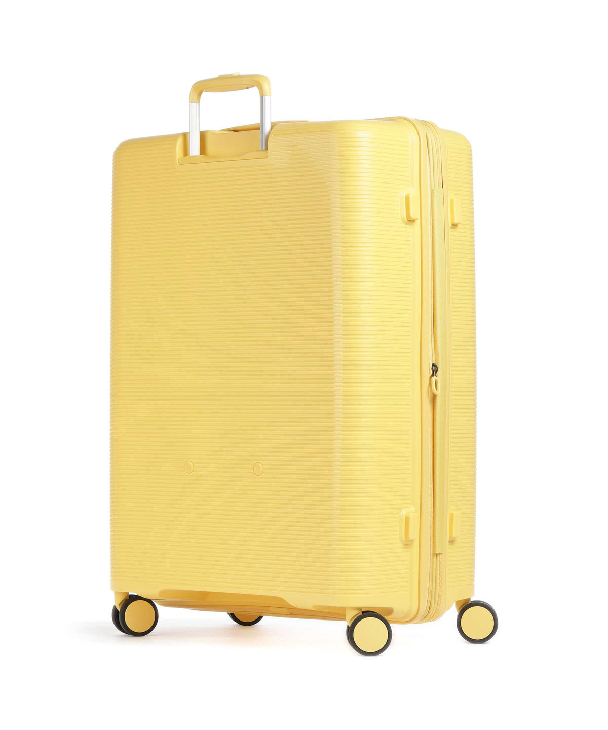 Echolac Forza L Spinner (4 wheels) yellow