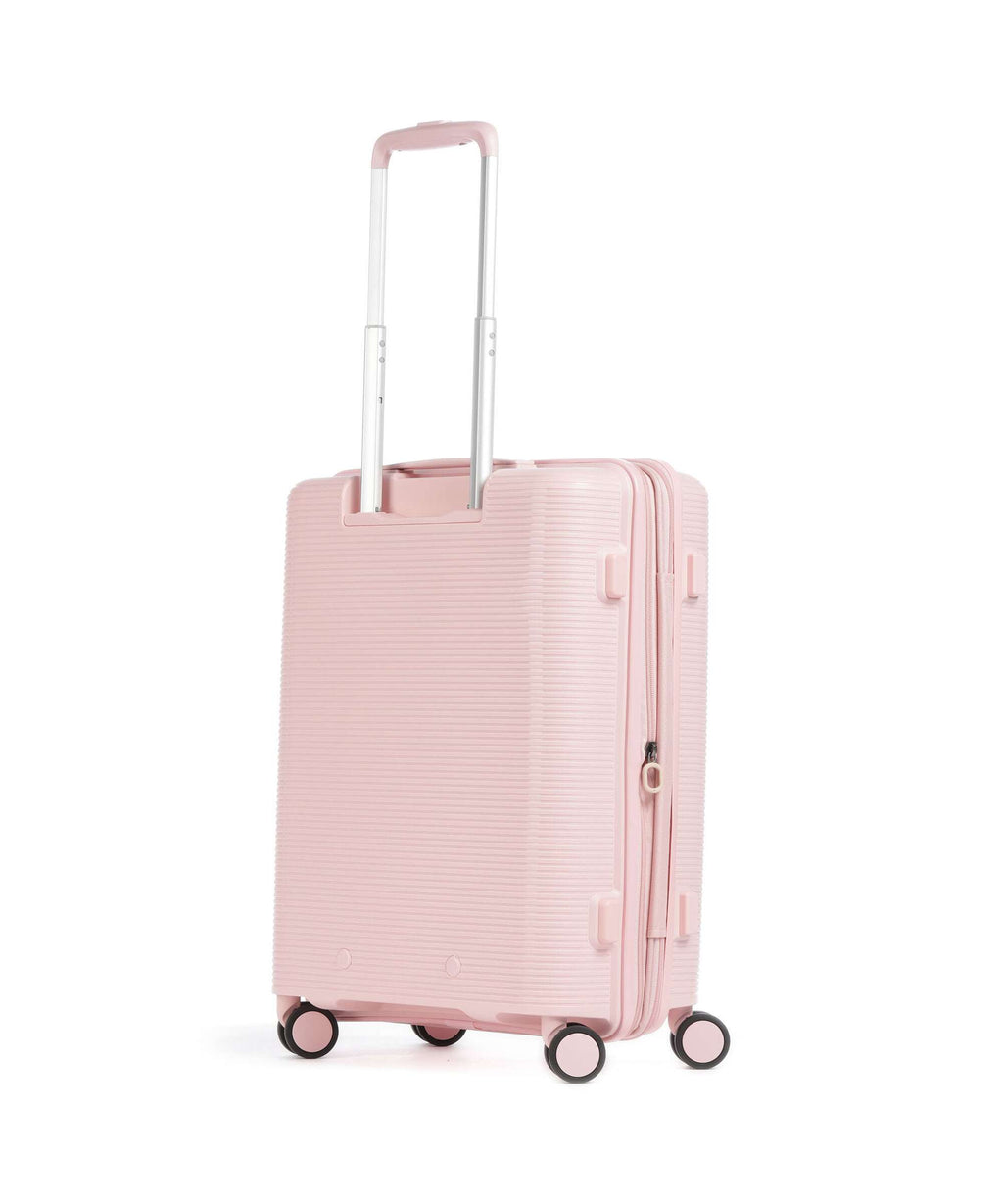 Echolac Forza S Spinner (4 wheels) pink