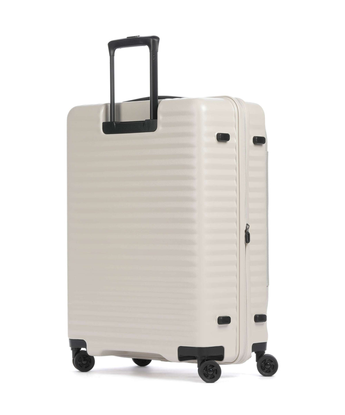 Echolac Celestra FA M Spinner (4 wheels) vanilla cream