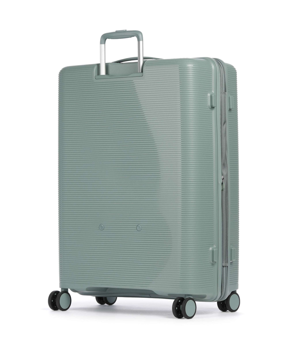Echolac Forza L Spinner (4 wheels) sage leaf