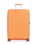 Echolac Forza M Spinner (4 wheels) apricot crush