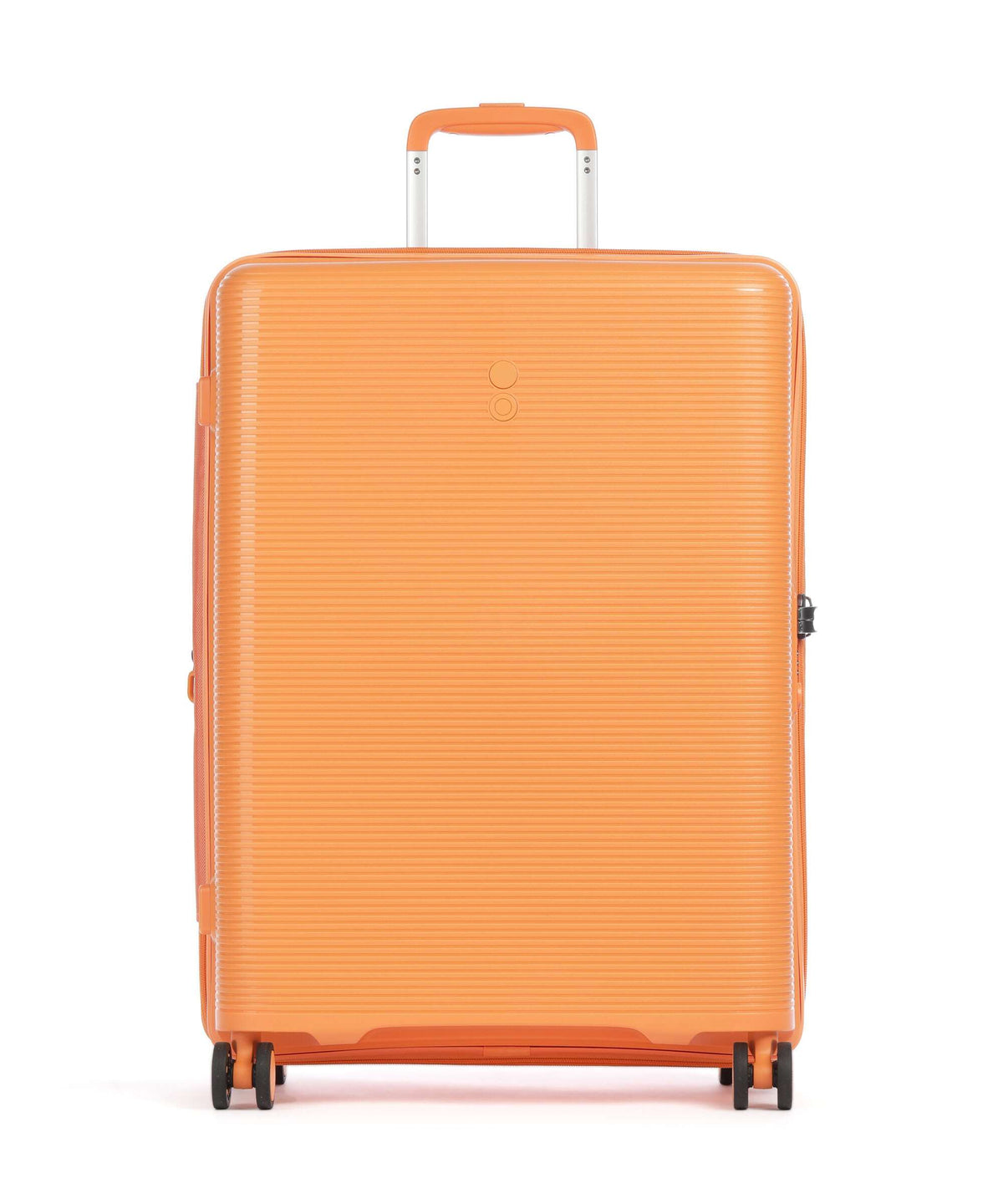 Echolac Forza M Spinner (4 wheels) apricot crush