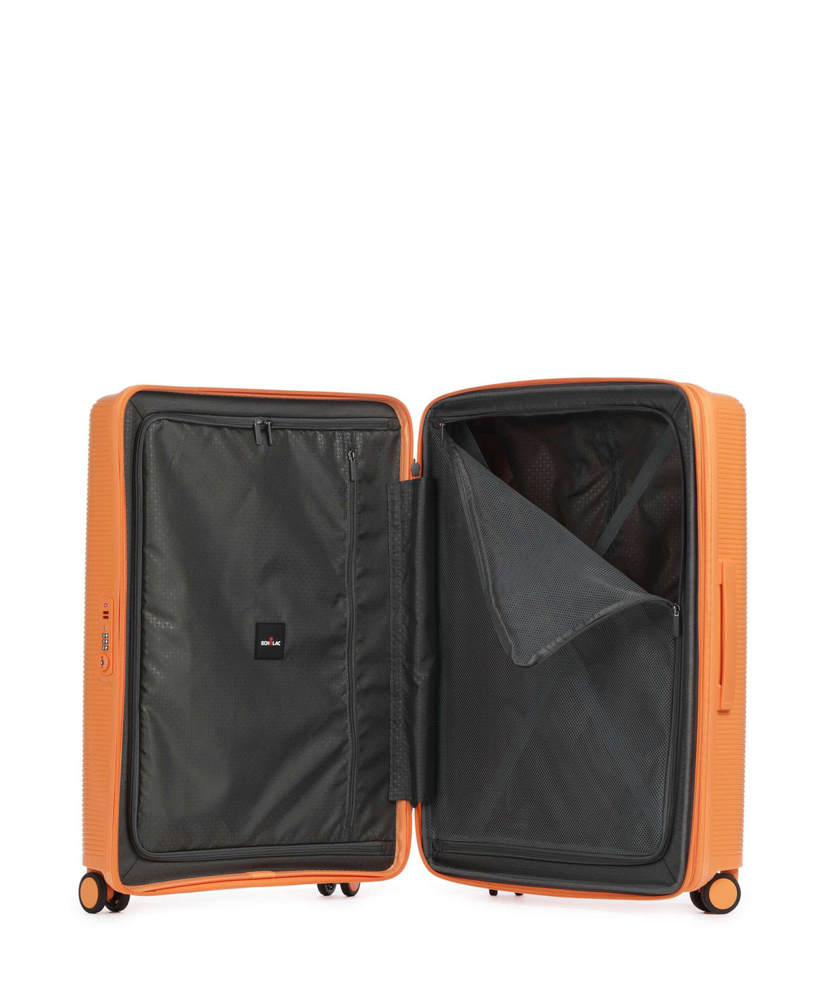 Echolac Forza M Spinner (4 wheels) apricot crush