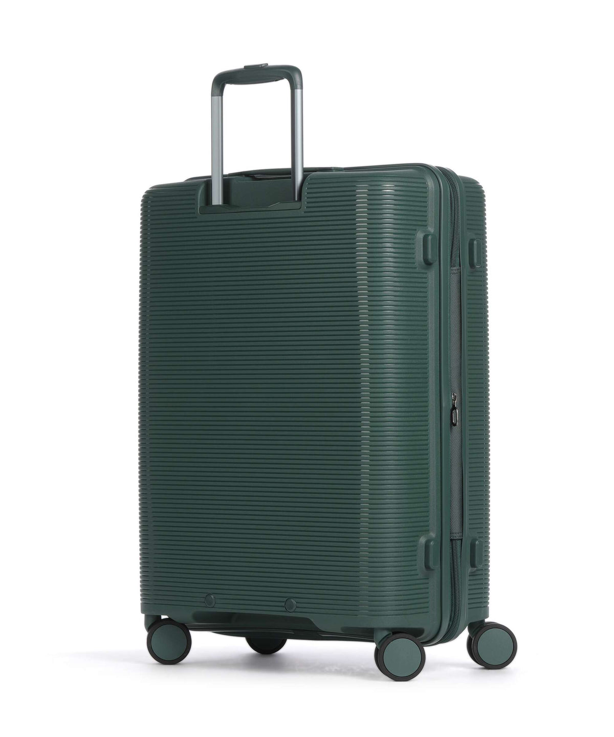 Echolac Forza M Spinner (4 wheels) pine green