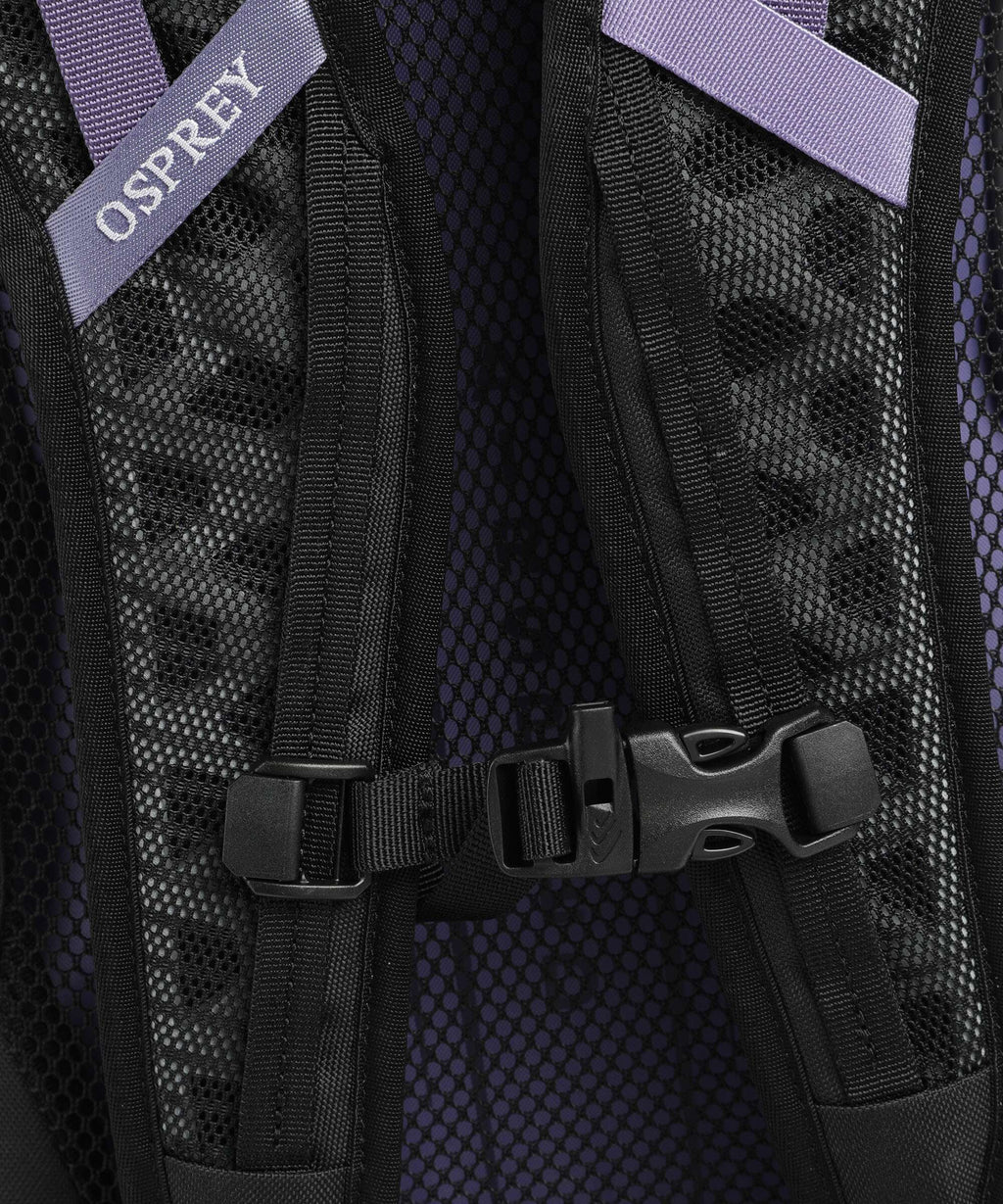 Osprey Hikelite 22 Hiking backpack botswana purple