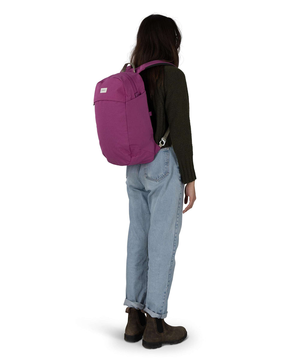 Osprey Arcane Large Backpack shiso purple heather