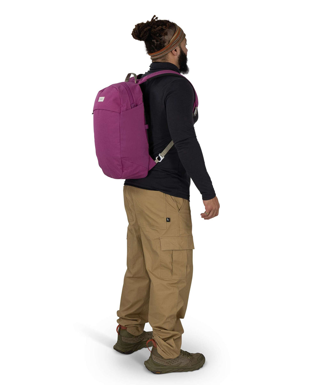 Osprey Arcane Large Backpack shiso purple heather