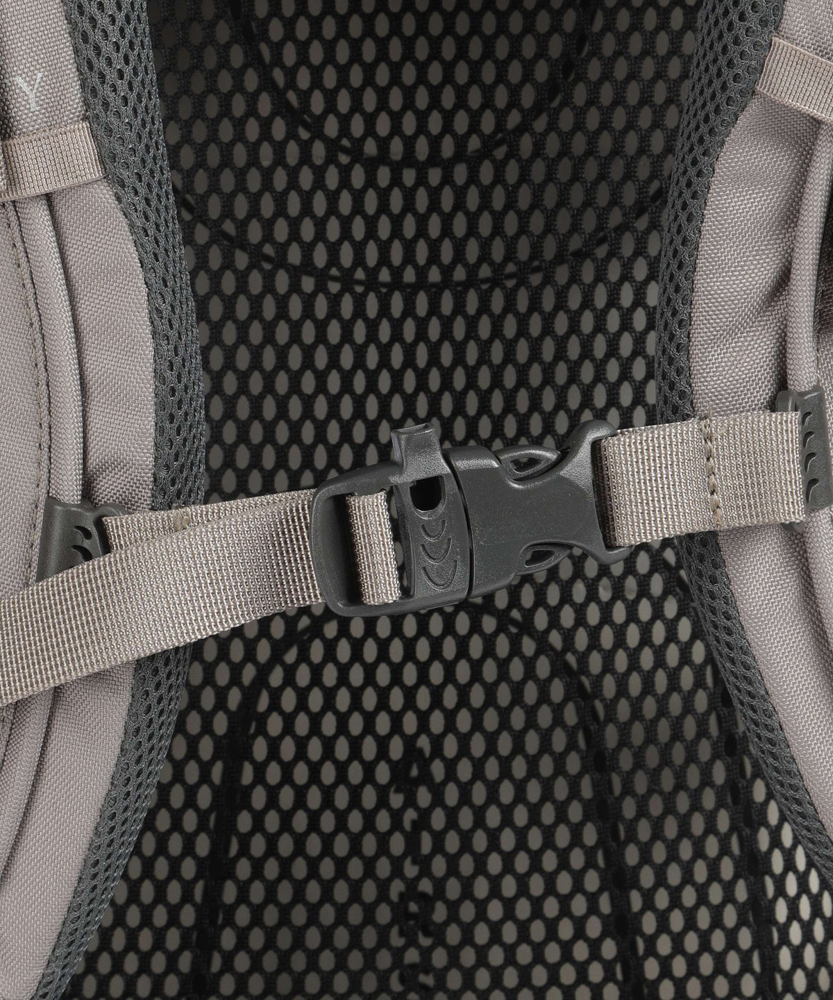 Osprey Renn 65 Trekking backpack pediment grey/linen tan