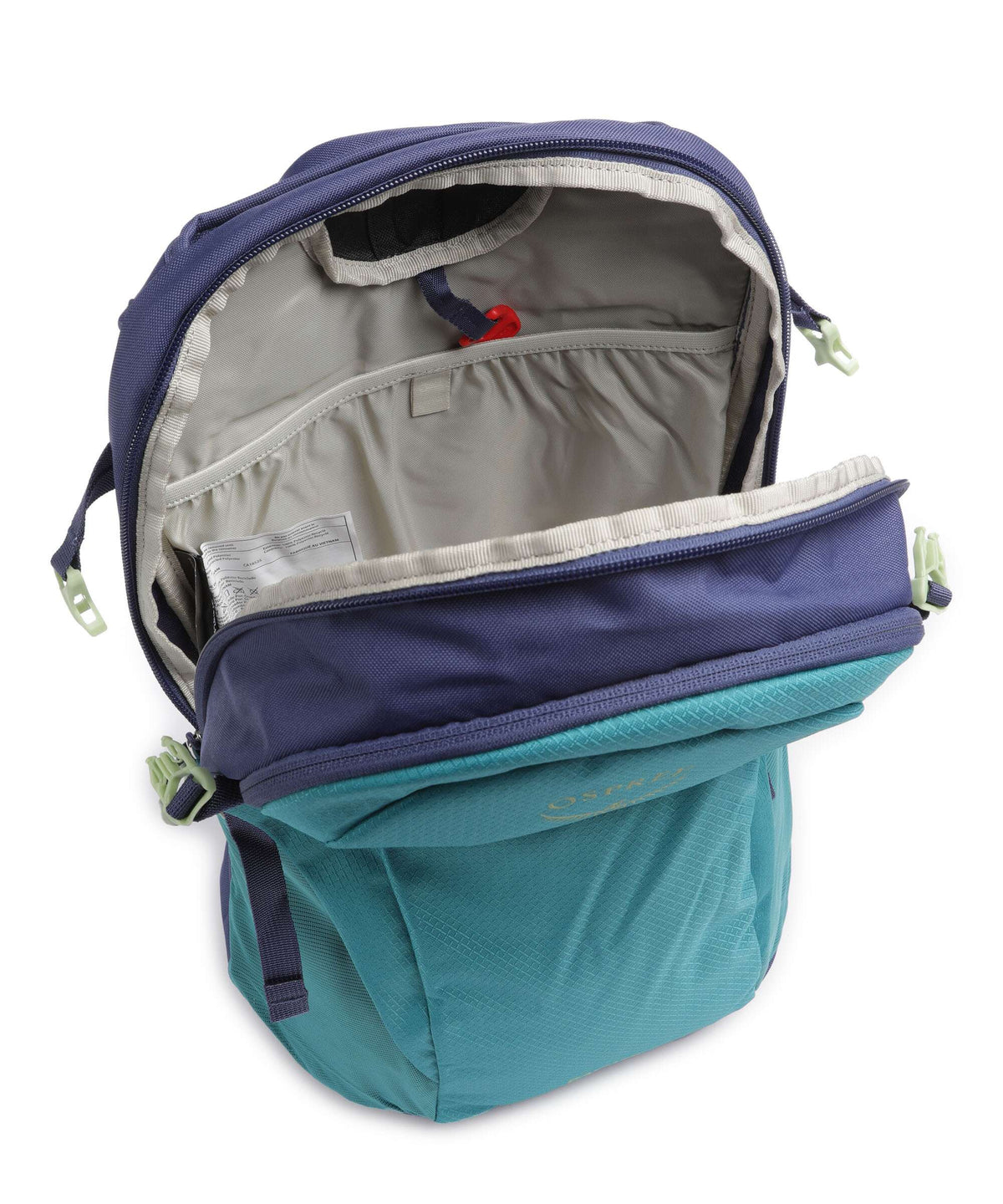 Osprey Daylite Backpack blue spikemoss/alkaline